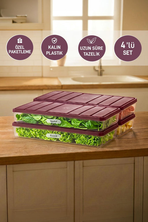 4 Adet 1 Lt. Nora Organizer Buzdolabı Buzluk Düzenleyici Saklama Kabı - Selka Home | Şık tasarımlar akıllı çözümler