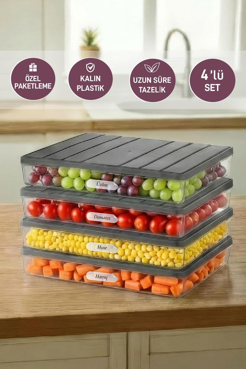4 Adet 2,25 Lt. Nora Organizer Buzdolabı Buzluk Düzenleyici Saklama Kabı - Selka Home | Şık tasarımlar akıllı çözümler