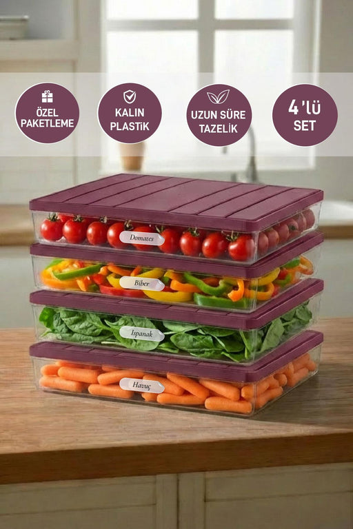 4 Adet 2,25 Lt. Nora Organizer Buzdolabı Buzluk Düzenleyici Saklama Kabı - Selka Home | Şık tasarımlar akıllı çözümler
