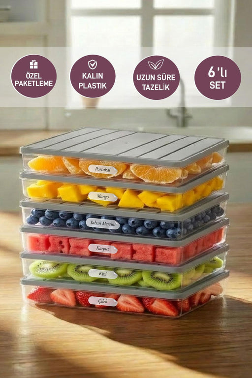 6 Adet 2,25 Lt . Nora Organizer Buzdolabı Buzluk Düzenleyici Saklama Kabı - Selka Home | Şık tasarımlar akıllı çözümler