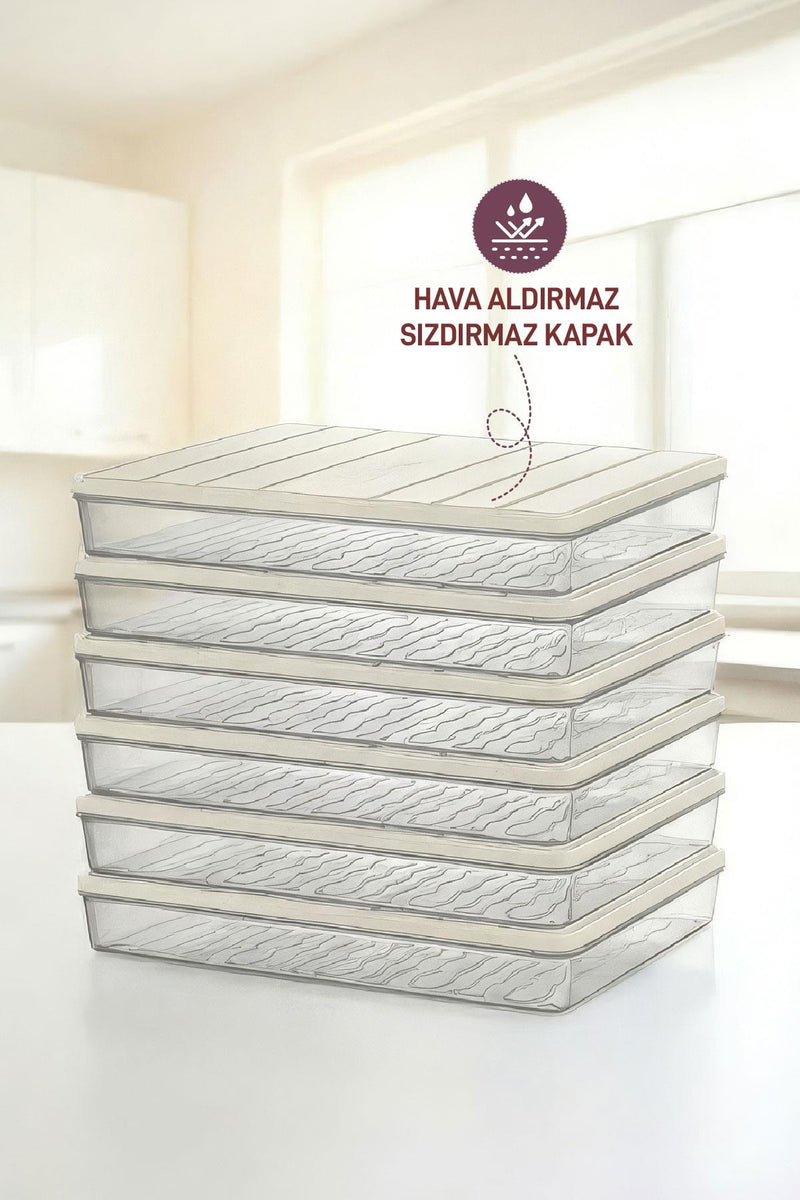 6 Adet 2,5 Lt. Nora Organizer Buzdolabı Buzluk Düzenleyici Saklama Kabı - Selka Home | Şık tasarımlar akıllı çözümler