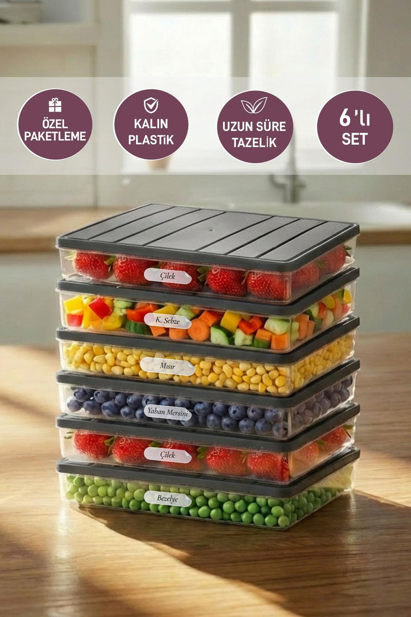 6 Adet 2,5 Lt. Nora Organizer Buzdolabı Buzluk Düzenleyici Saklama Kabı - Selka Home | Şık tasarımlar akıllı çözümler