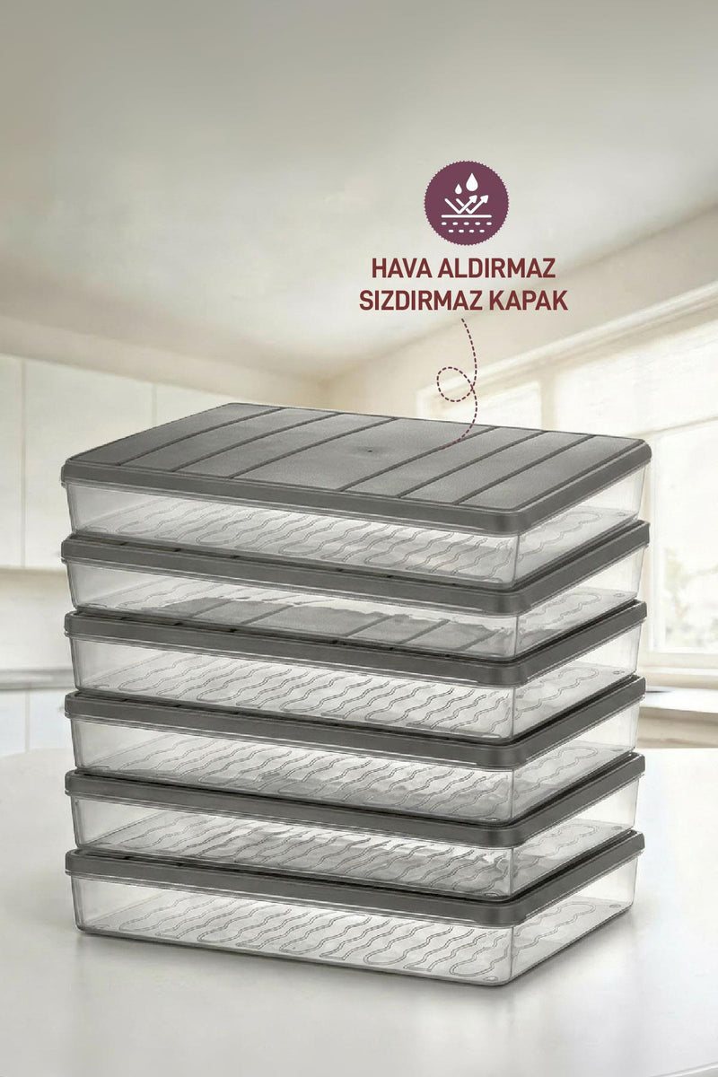 6 Adet 2,5 Lt. Nora Organizer Buzdolabı Buzluk Düzenleyici Saklama Kabı - Selka Home | Şık tasarımlar akıllı çözümler