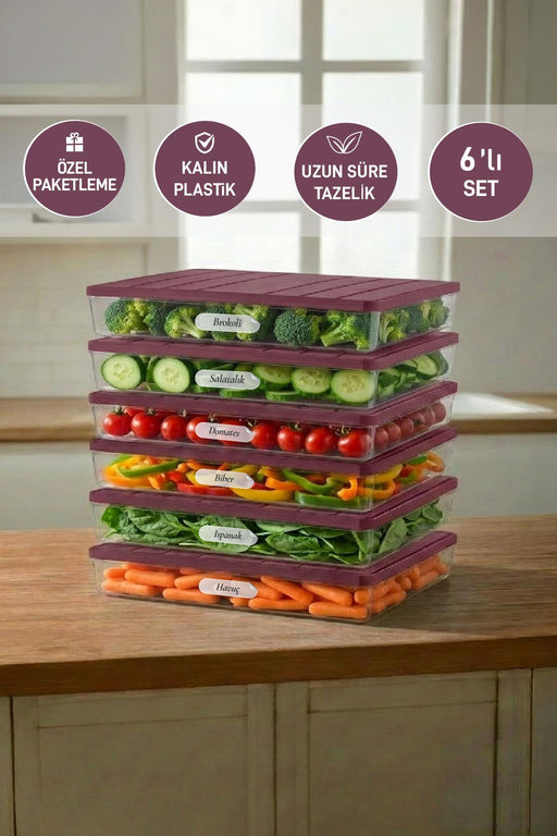 6 Adet 2,5 Lt. Nora Organizer Buzdolabı Buzluk Düzenleyici Saklama Kabı - Selka Home | Şık tasarımlar akıllı çözümler